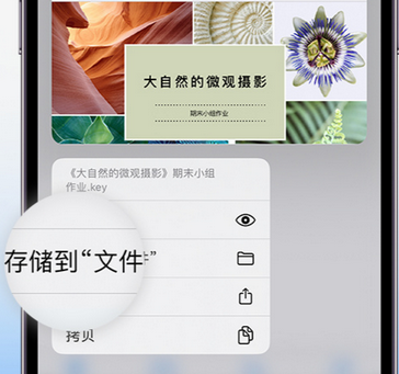 金平apple维修中心分享iPhone文件应用中存储和找到下载文件