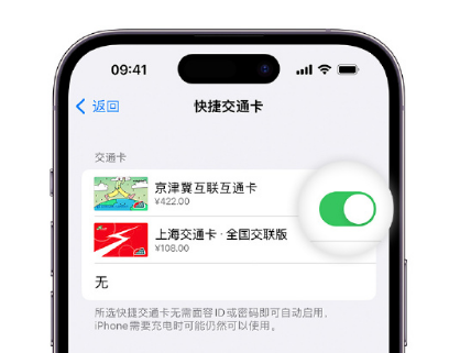 金平apple维修点分享iPhone上更换Apple Pay快捷交通卡手绘卡面 