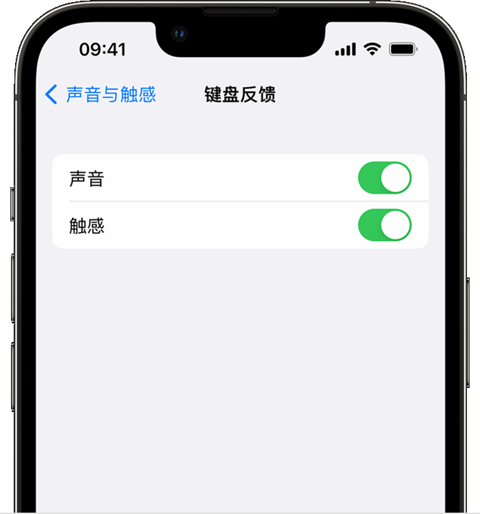 金平苹果14维修店分享如何在 iPhone 14 机型中使用触感键盘 