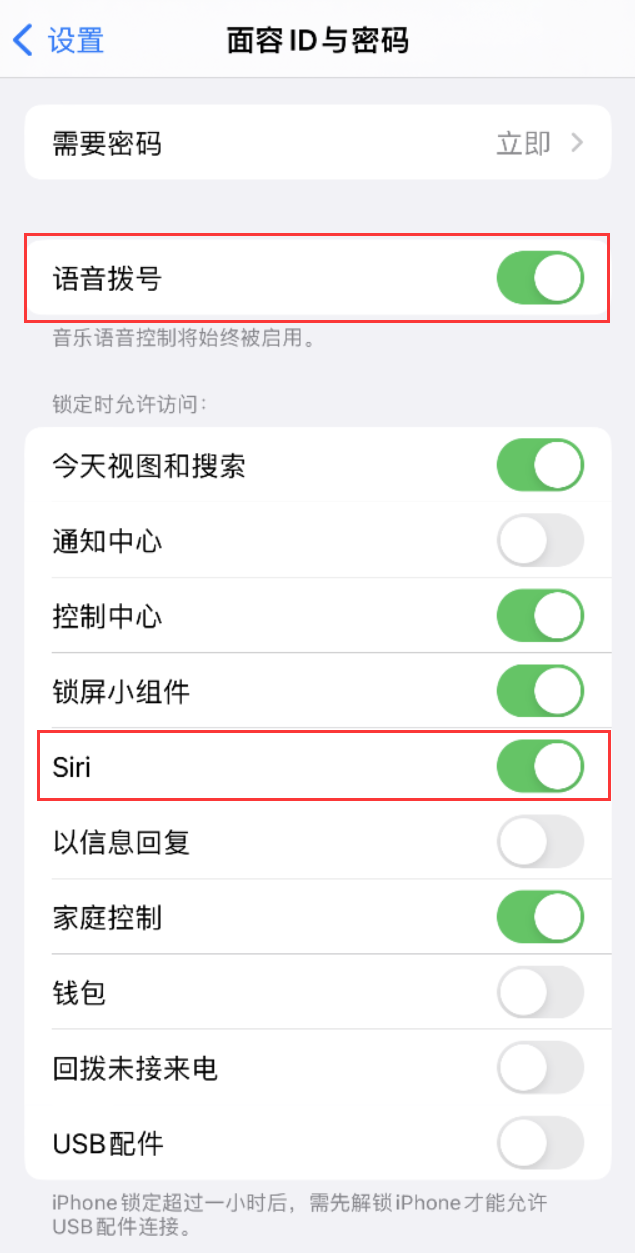 金平苹果维修网点分享不解锁 iPhone 的情况下通过 Siri 拨打电话的方法 