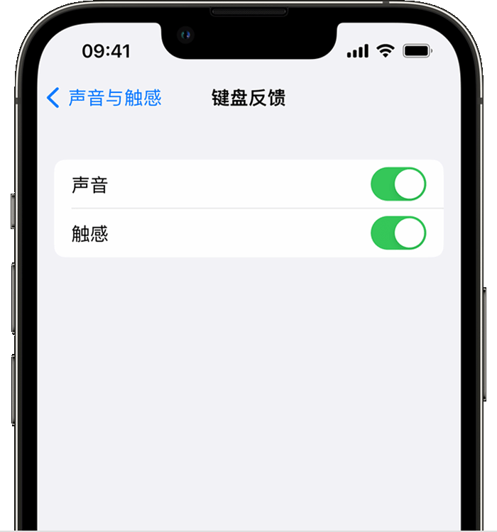 金平苹果14维修分享iPhone 14 系列机型如何开启键盘声音或触感反馈 