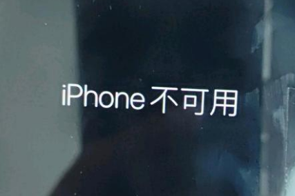 金平苹果服务网点分享锁屏界面显示“iPhone 不可用”如何解决 