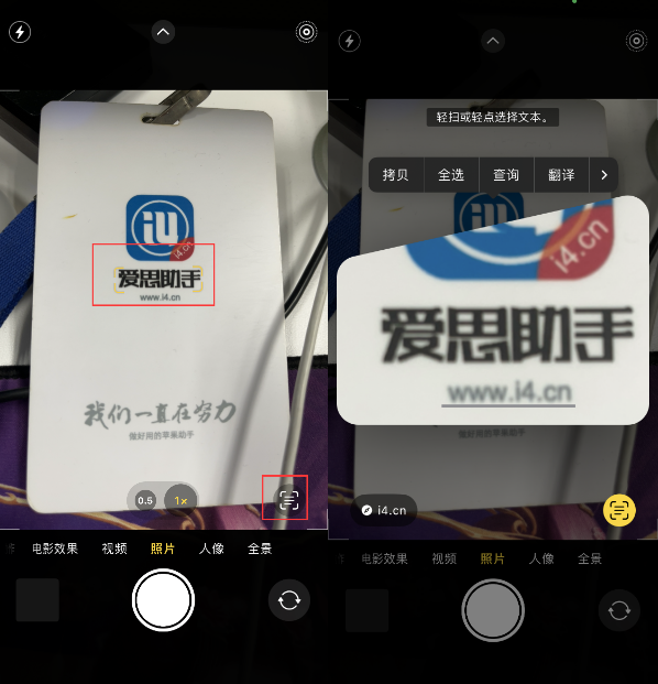 金平苹果手机维修分享升级iOS 16后如何通过相机翻译文本 