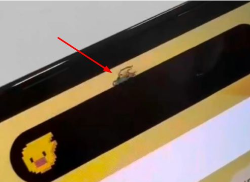 金平苹果14维修分享iPhone 14 Pro Max灵动岛怎么养宠物 