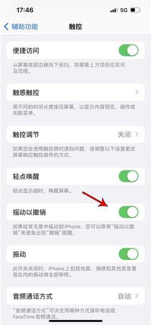 金平苹果手机维修分享iPhone手机如何设置摇一摇删除文字 