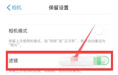 金平苹果13维修分享iPhone13拍照有绿点是怎么回事 