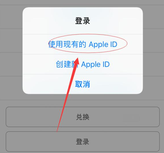 金平苹果手机维修分享两台iPhone设备可以同时登录一个Apple ID吗 