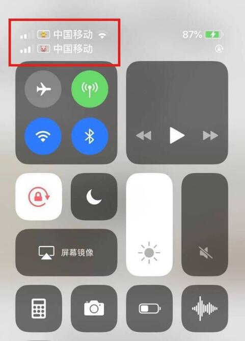 金平苹果手机维修分享为 iPhone 12 双卡设置标签 